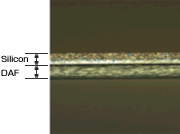 DAF付きシリコンウェーハ チップ側面写真